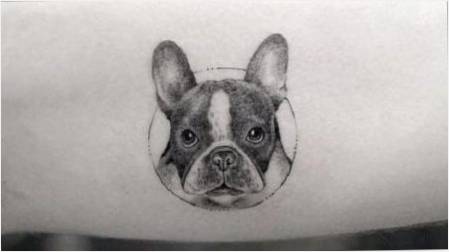 Tattoo Genel Bakış  Bulldog 