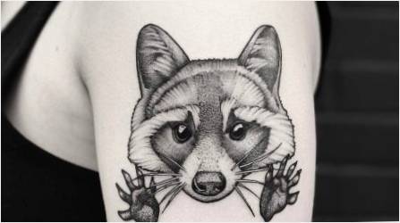 Tattoo hakkında her şey  Raccoon 