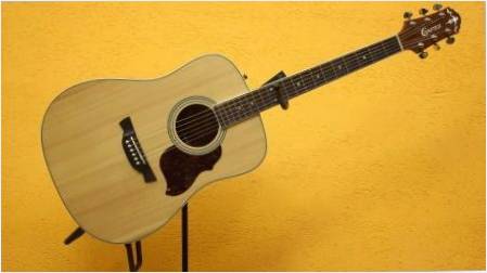 Gitar Açıklama Crafter