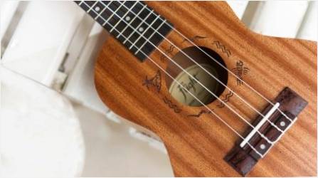 Ukulele için dizeler