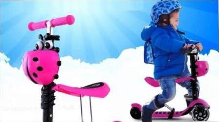 1 yılında Scooter 3: modelleri ve kılavuzuna gözden